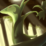 反调蛇不会碰到淳朴海