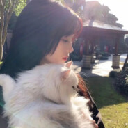 一枪不中，大眼瞪小眼Ovo