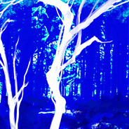 太古和其他时间