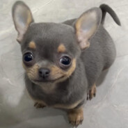 Травма запястья