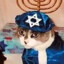 The Jewish Cat