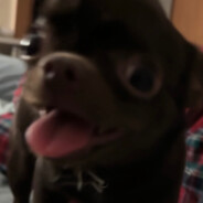 OGtriF avatar