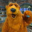 bearesque