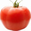 TOMATO's avatar