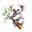 BeyazKoala
