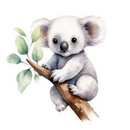 BeyazKoala