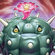 周哥欠我一套兵马俑