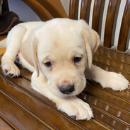 今天又下毛毛雨