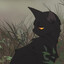 Shido