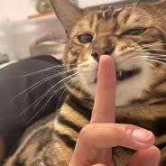 美宜佳（可外送）