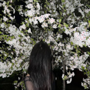 emenis - steam id 76561198417738016