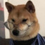 Doggy Grey
