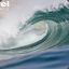 -        pancitonewwave