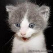 我是猴子请来的救兵！