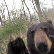 ВЗАИМНАЯ ПОХВАЛА