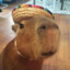 capybara