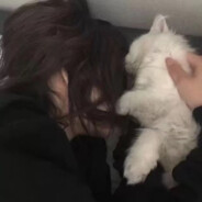 一口一个小团子Y