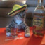 Mexican cat with sombrero