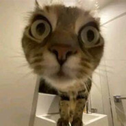 究极无敌闪电霹雳暴龙