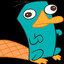 Perry