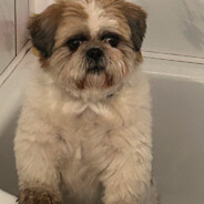 🅶🆁🆄🅱🅰🆂🅴🅺