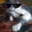 El_Pichi_