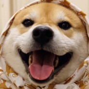 萌萌哒的张宝子