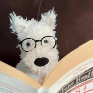 擎天柱寂寞就找网约车