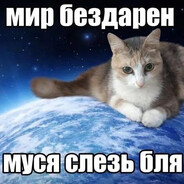 piVko
