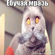 Анальный магистр