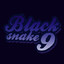 Black_snake9