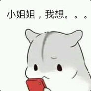 会跑会跳的小萌新