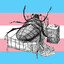 trans kafka