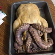 Octochicken