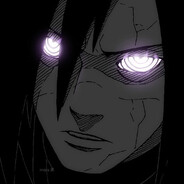 .robin