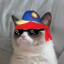 theScrubbyCat
