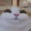 AAA
