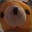 gremp