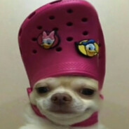 𝗡𝗶𝗸𝘀