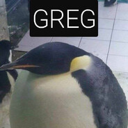 GregThePenguin