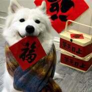 排骨教主