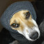 Floweey's avatar