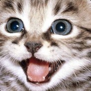 UglyTheCat