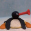 noot