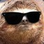 A Slothful Sloth