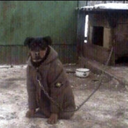 оптимус прайм