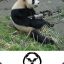 panda ^8warrior