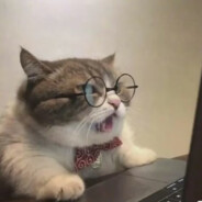 输了可不好玩，所以一直不好玩