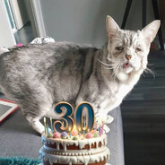 Avatar Meow30