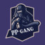 PP-gang